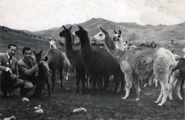 Loading Image